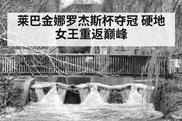 莱巴金娜罗杰斯杯夺冠 硬地女王重返巅峰