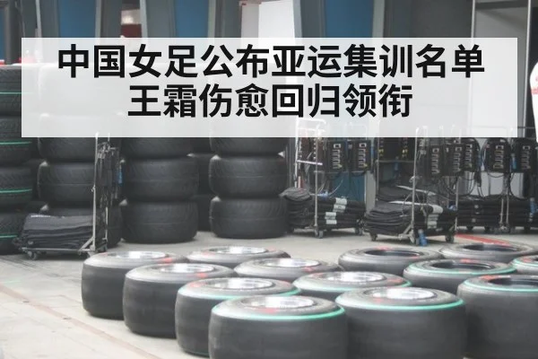 中国女足公布亚运集训名单 王霜伤愈回归领衔