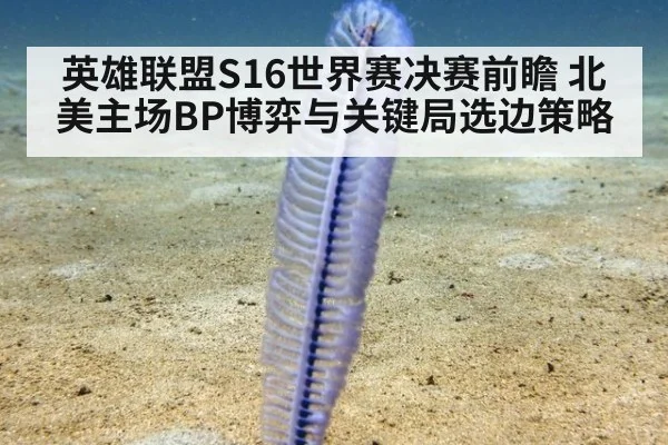 英雄联盟S16世界赛决赛前瞻 北美主场BP博弈与关键局选边策略