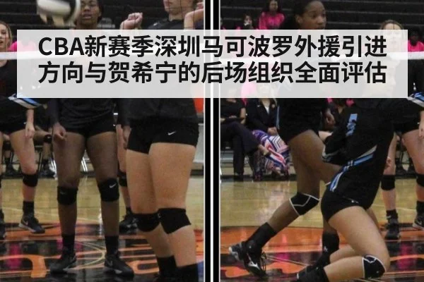 CBA新赛季深圳马可波罗外援引进方向与贺希宁的后场组织全面评估